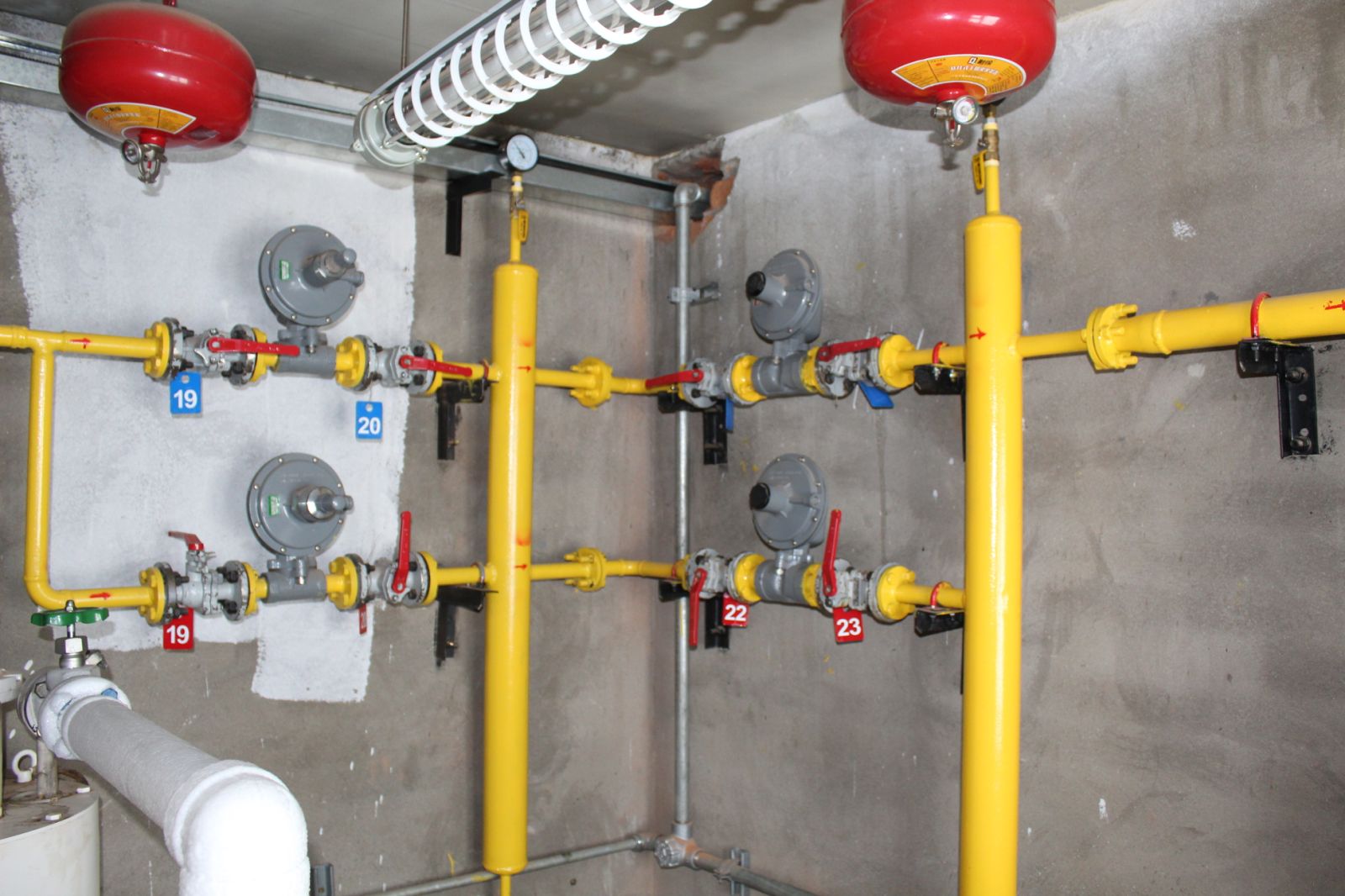 viber_image_2026-01-22_16-29-16-730